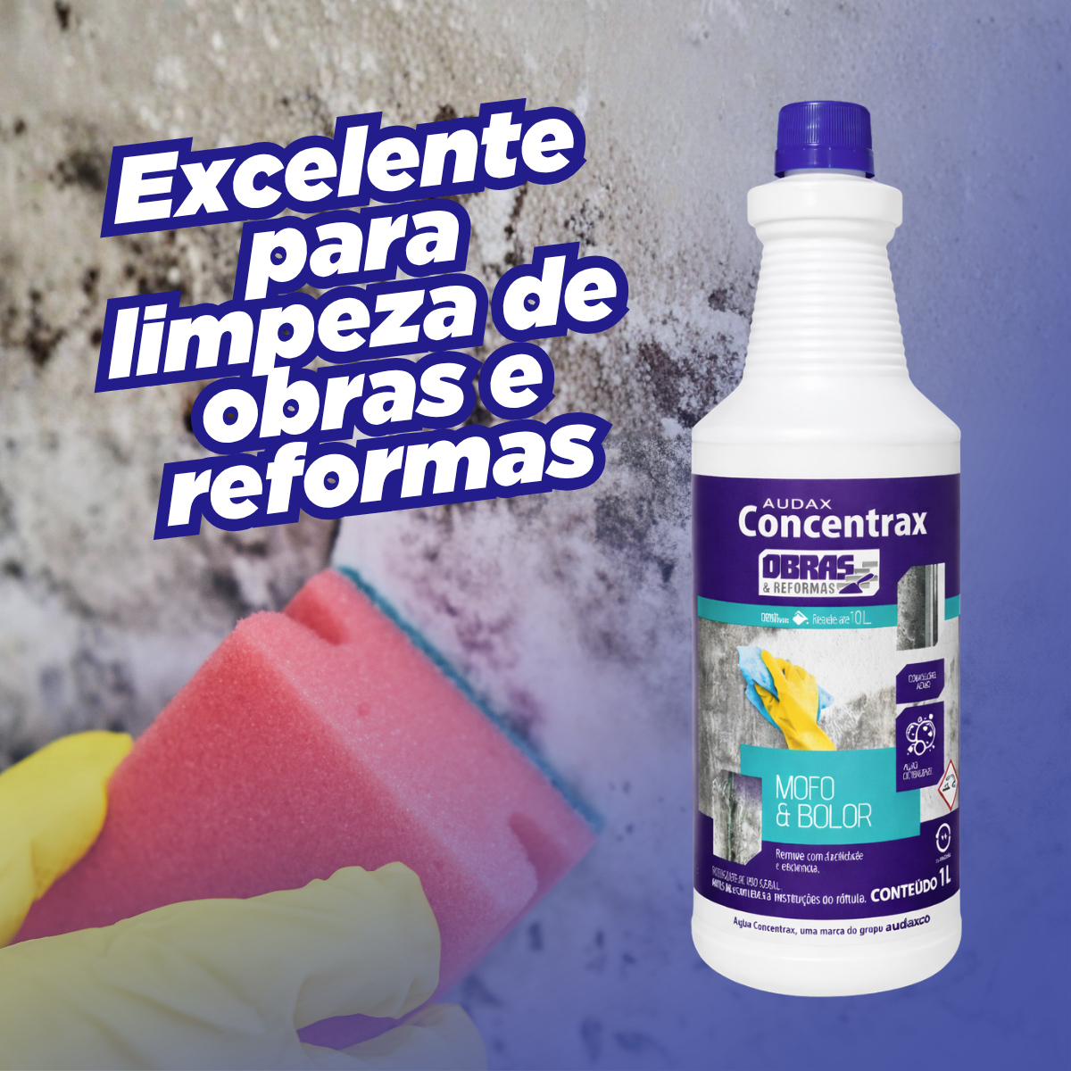 Limpador Pós Obra Limpa Mofo e Bolor Cloro Ativo Audax 1L