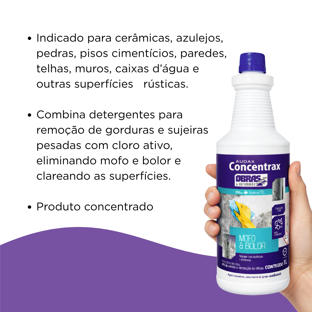 Limpador Pós Obra Limpa Mofo e Bolor Cloro Ativo Audax 1L