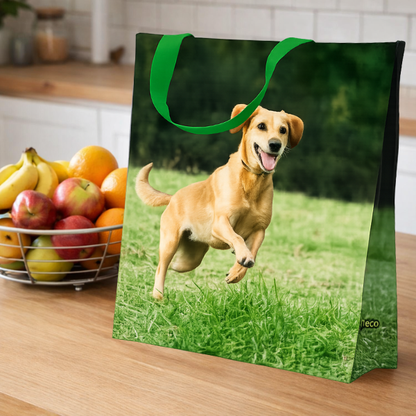 Sacola Reutilizável Cachorro Caramelo 39x18x35cm Bompack