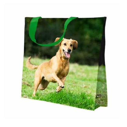 Sacola Reutilizável Cachorro Caramelo 39x18x35cm Bompack
